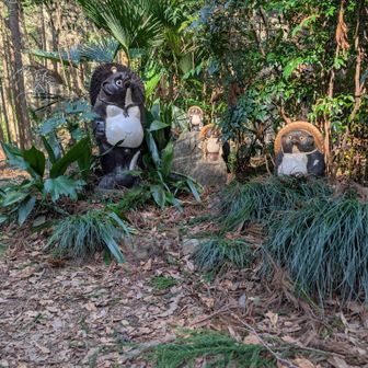 某ショップのどなただっけ？
小仏峠でお会いして〜