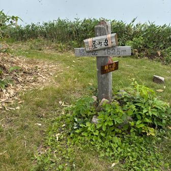 山頂きれいになってた