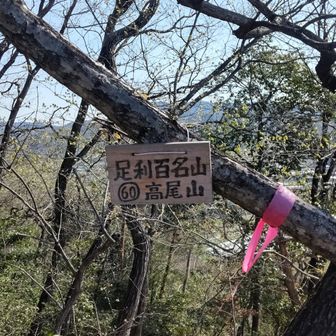 高尾山