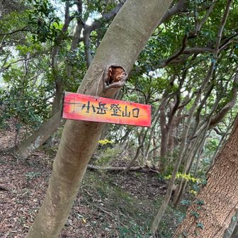 今回初めて見た登山口標識