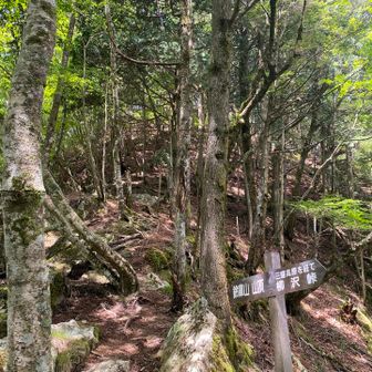 ここからは鈴庫山山頂直下の急登
