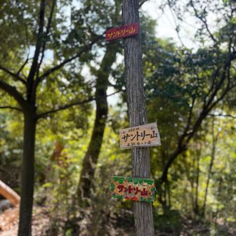 そして サントリー山

先客グループが いて 混みいった話しっぽかったので ササッと撮り去る🐒

ww
