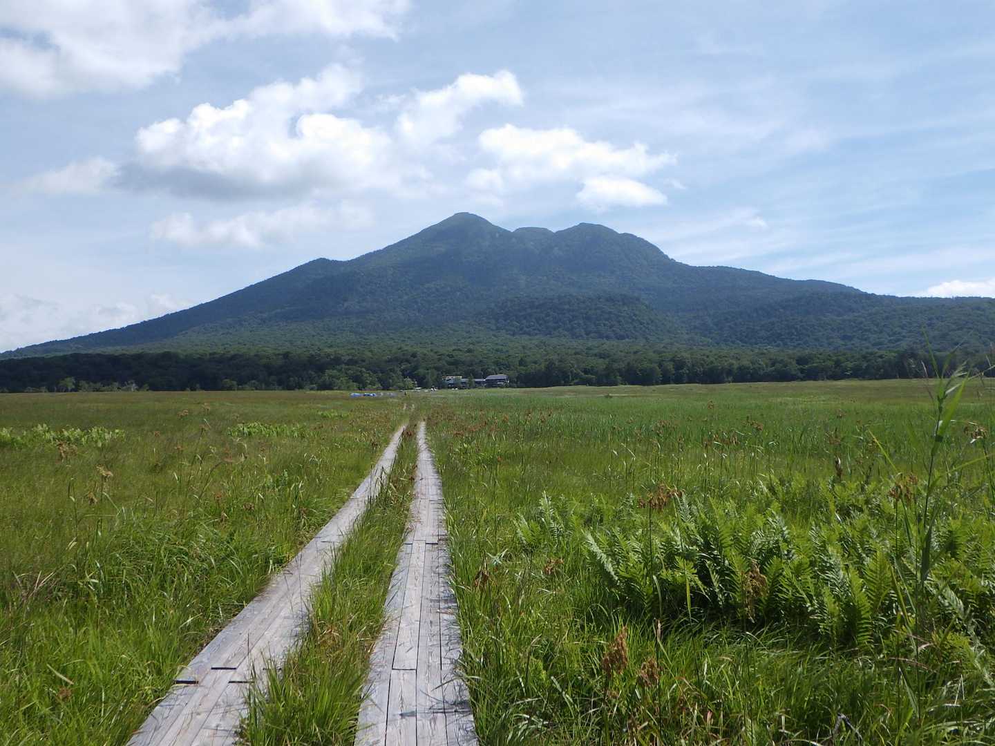 燧ケ岳へ向かって伸びる木道