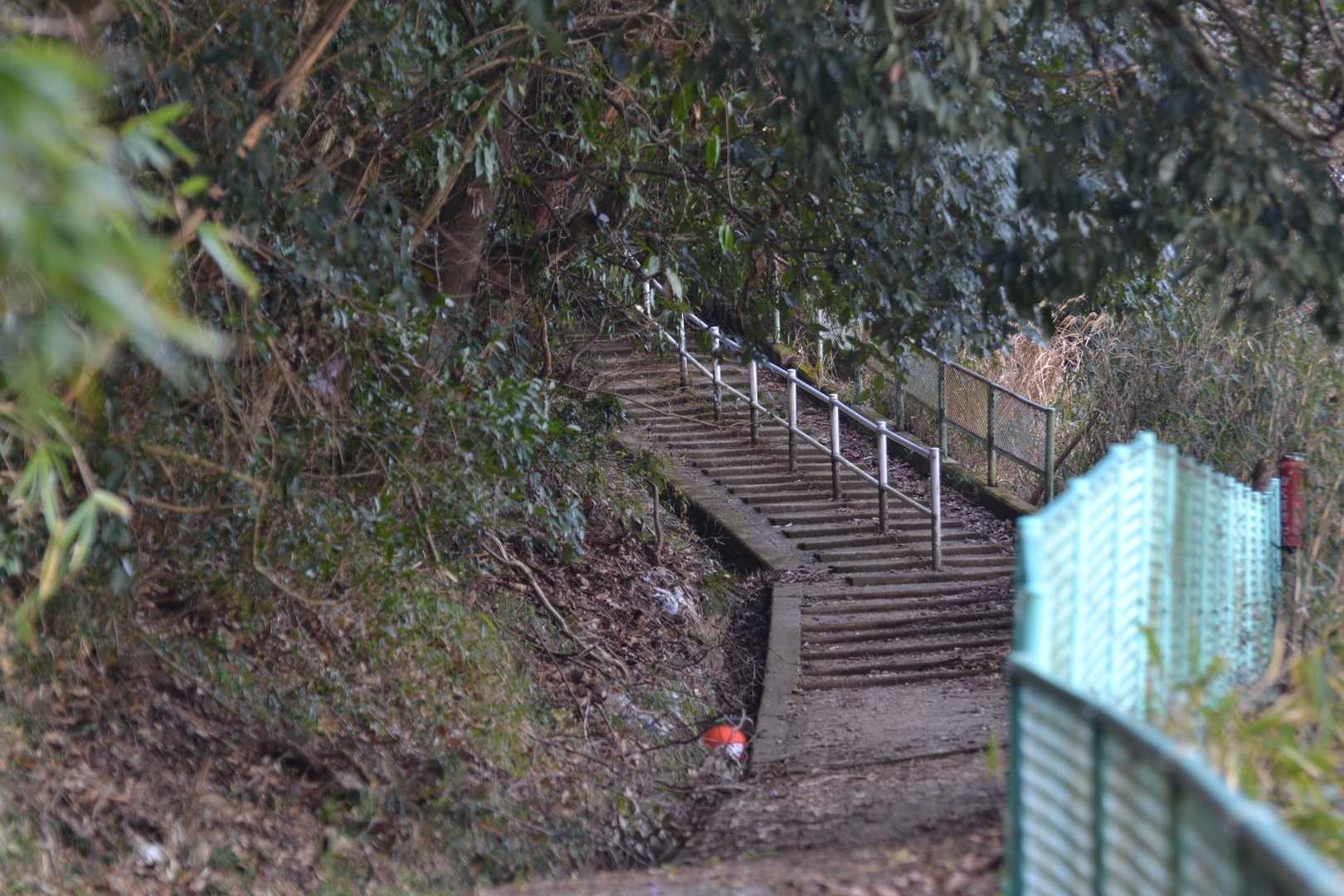 お寺までは、なかなかな階段続きでした
