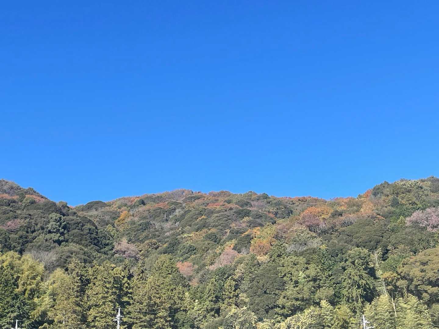 朝日峠ハイキングコース入口-小町山登山口-小町山 周回コースの写真