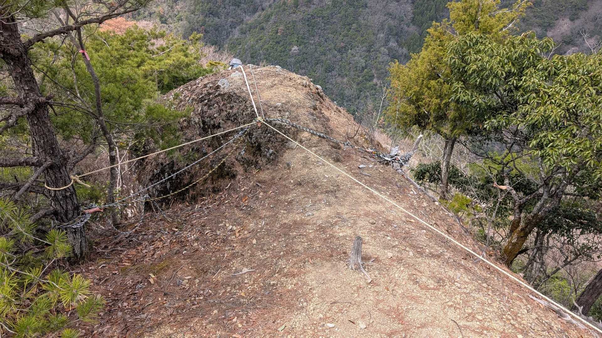激下り