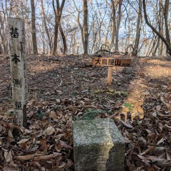 大鳥屋山に👣💦地味な山頂😂でも一等三角点👆
では周回ルートで下山します👉