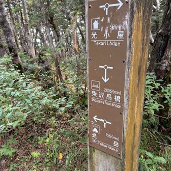 さて、光岳には寄らず「柴沢吊橋」へ下降します。
あと5時間下ればたどり着けるか。