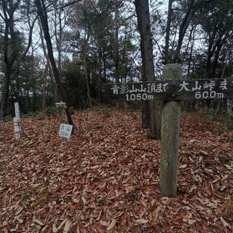 大山(おおやま)ピーク時点でまだ3時間🕐️
前回既に5時間も有してたので雲泥の差✨
お次の奥山は最高の展望なので、昼食も奥山で予定します。
YAMAPでは12:05予定🕐️