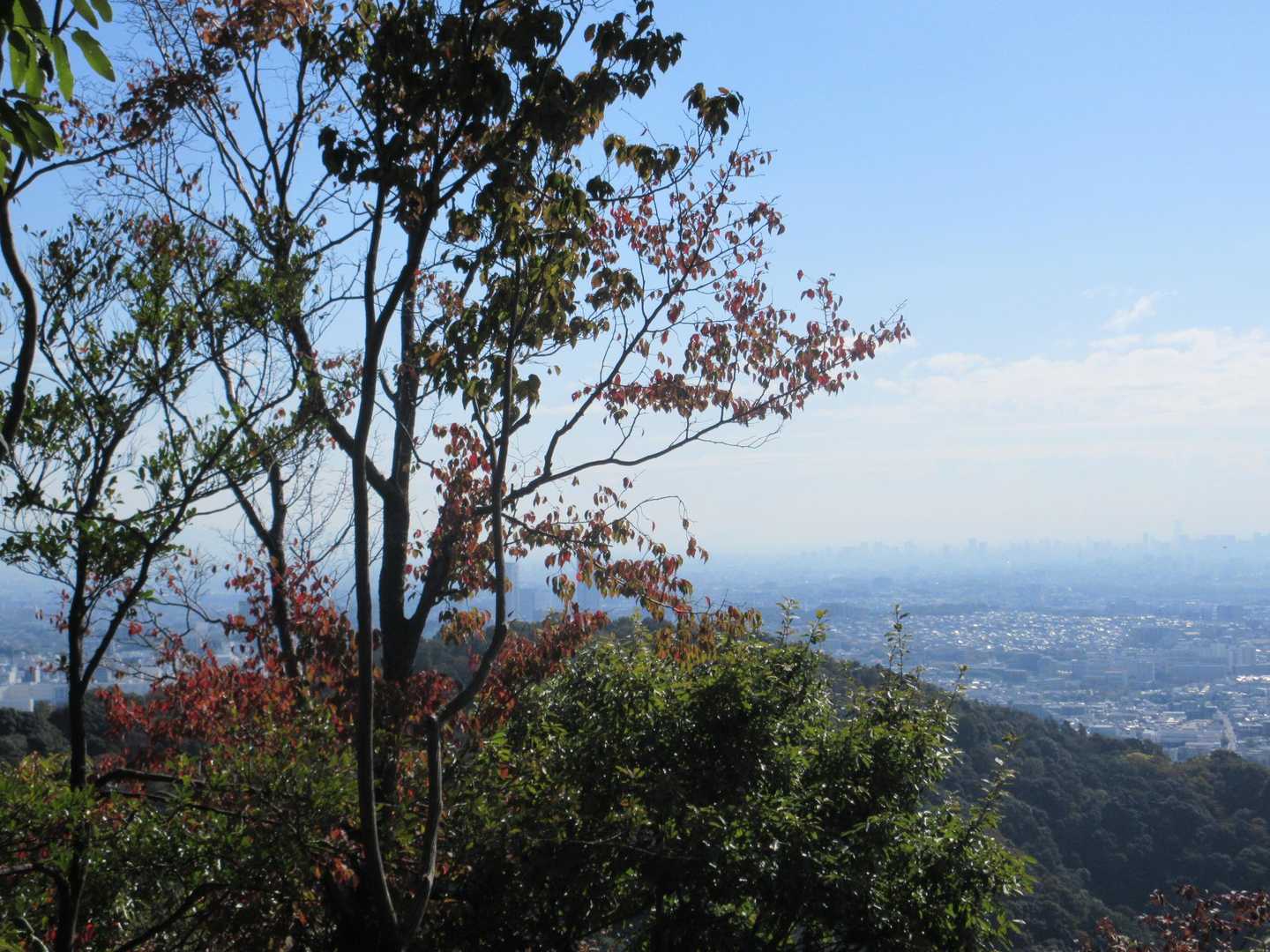 瀧安寺-石子詰登山口-箕面山-三国峠-六個山 周回コースの写真