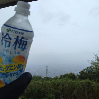 クエン酸がしみわたります。