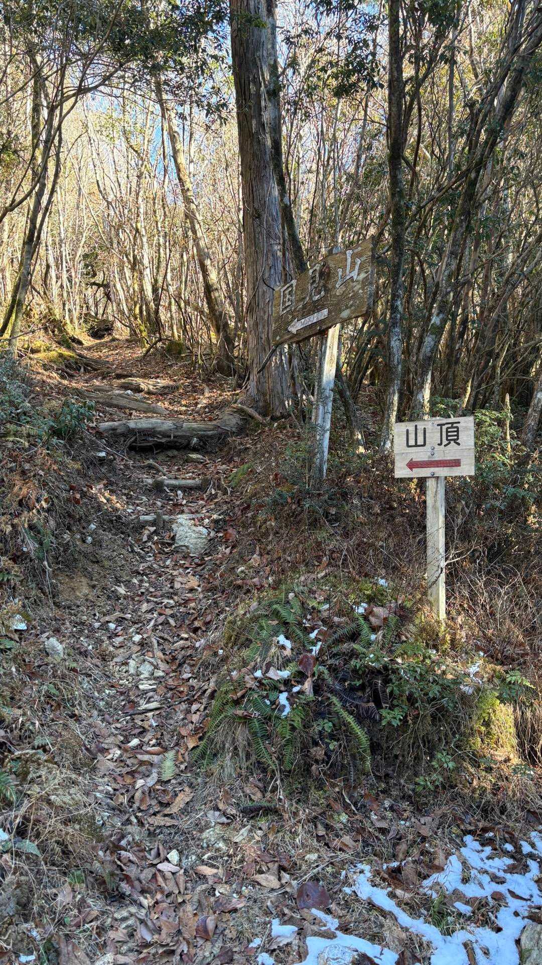 で、山道に入る