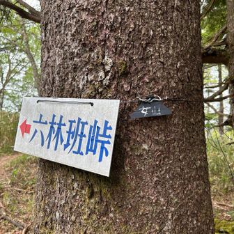 女山