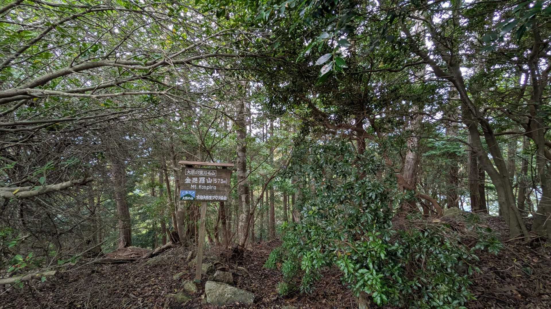 金比羅山山頂