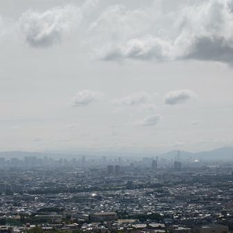 森林公園展望台から
二上山も見えてます✨️