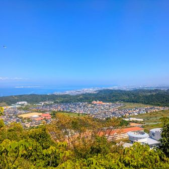 桃の木台の町が見える。
