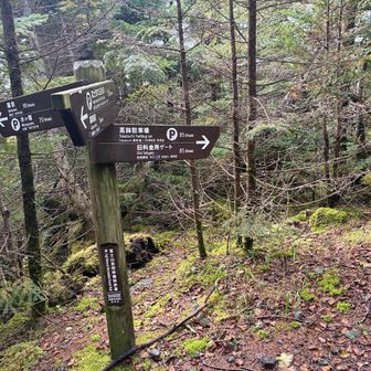 高鉢駐車場は水ヶ塚より標高が高いけど、ここまでの目安時間は15分長い