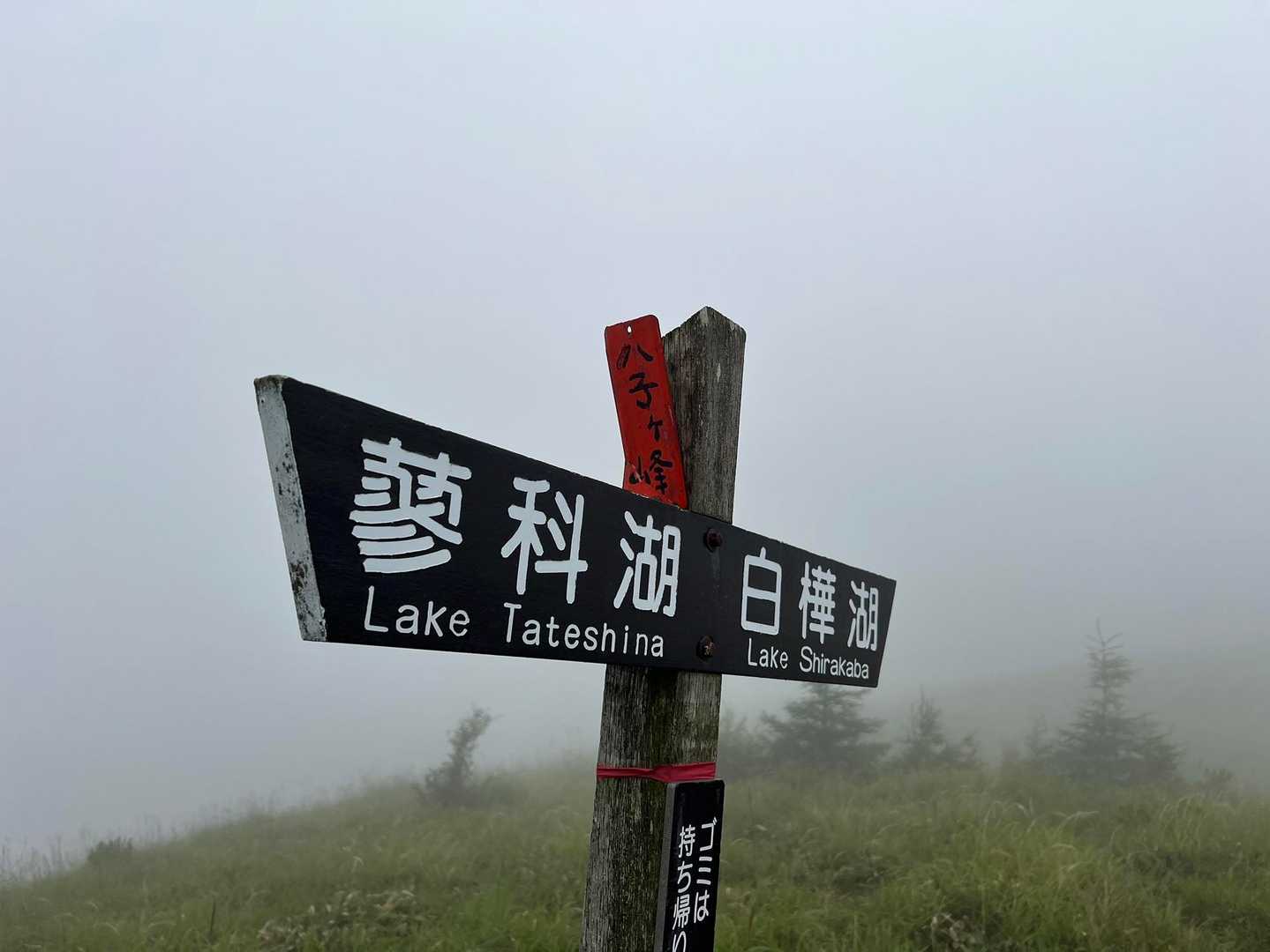 八子ヶ峰西峰