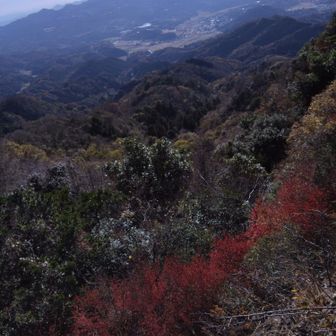 良い感じの眺め