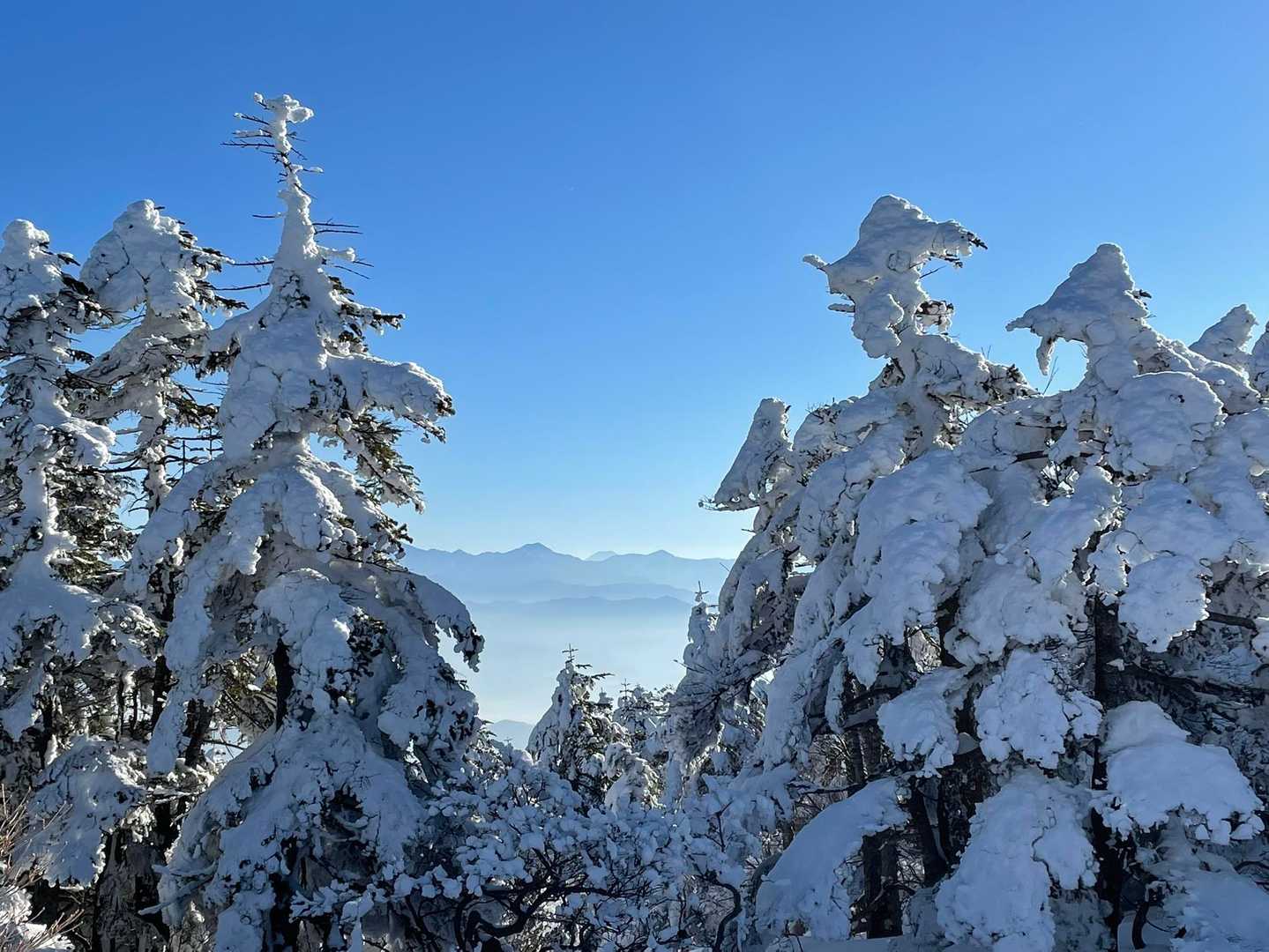 厳冬期の恵那山へ、今日はイージーモードでした😊 / チャムGmbHさんの