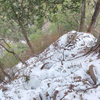 途中から見下ろすと····
全く終わりが分かりません💦