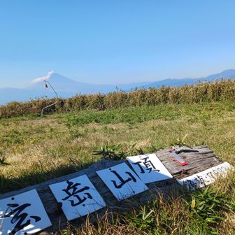 ちょっとした広場があり眺望もよく、気持ちのよい山頂でした。