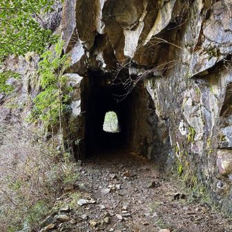 さぎりの滝のすぐ後にトンネルをくぐります。