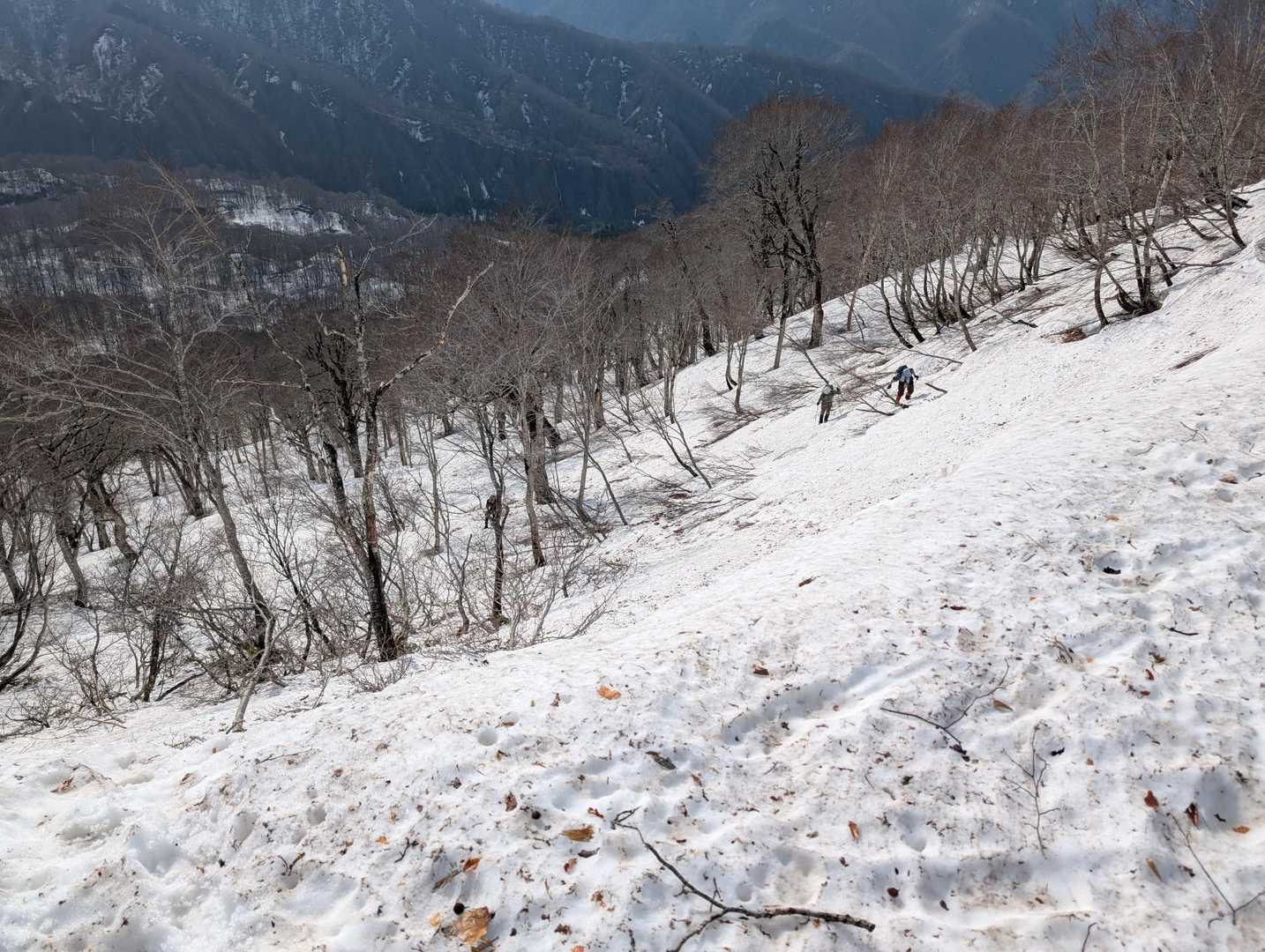 壁をよじ登ってようやく稜線に乗り上げる。ここで堂津岳と東山に分かれる