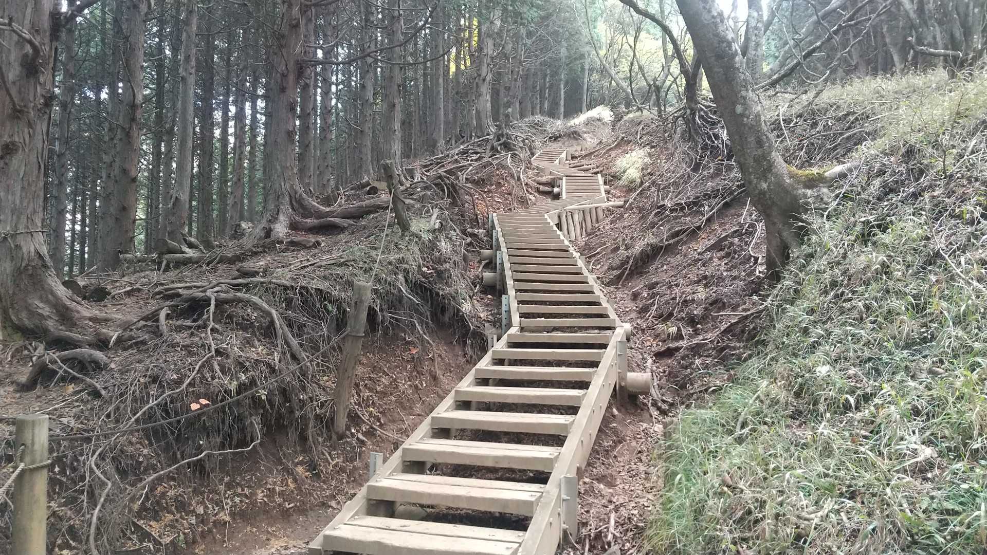 結構階段の登りがあります