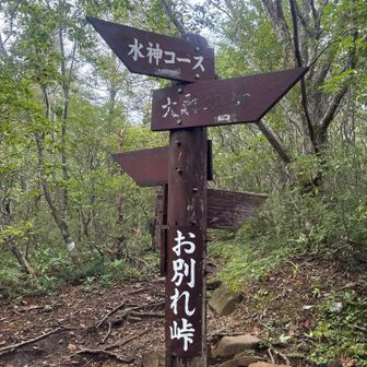 こちらでK原さんとは一時お別れ。
また山頂で会いましょう🫣