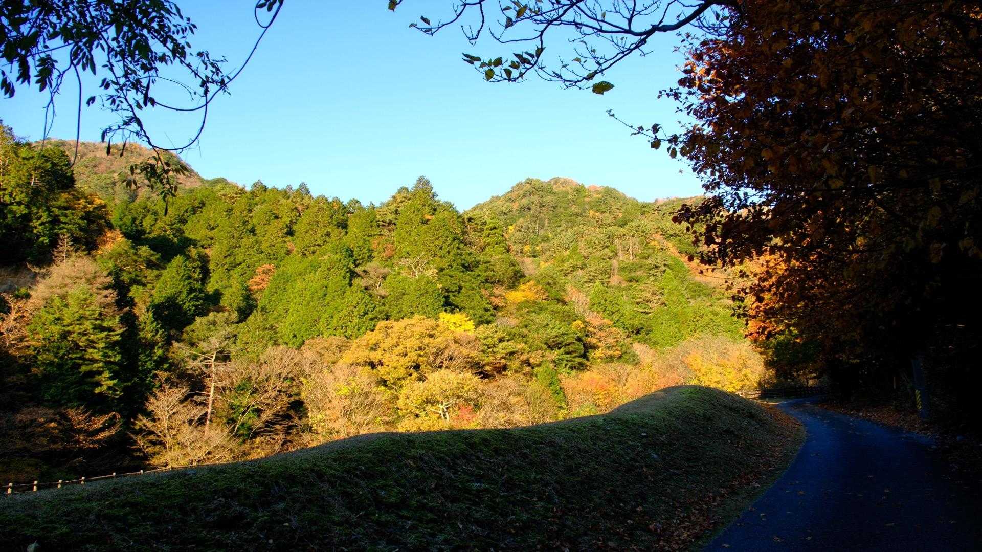 紅葉もまだまだキレイです🍁