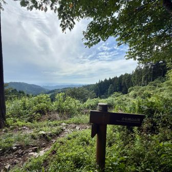 初めて、小仏城山の山頂手前の上りの巻きルートを通ってみました！