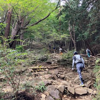 大倉尾根はここからが本番🤭

ワクワクが止まらない😆