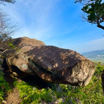 名前のとおり、まさに鯨岩