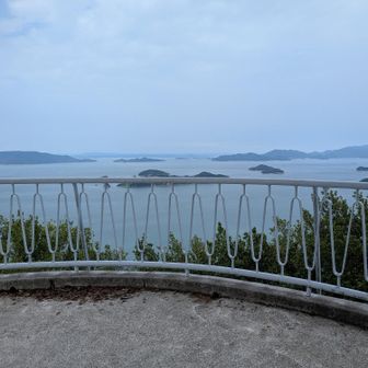 遊鶴亭戻ってきた。ずいぶんと曇ってきた。