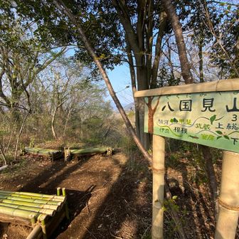 八国見山山頂の可愛い看板と竹のベンチ