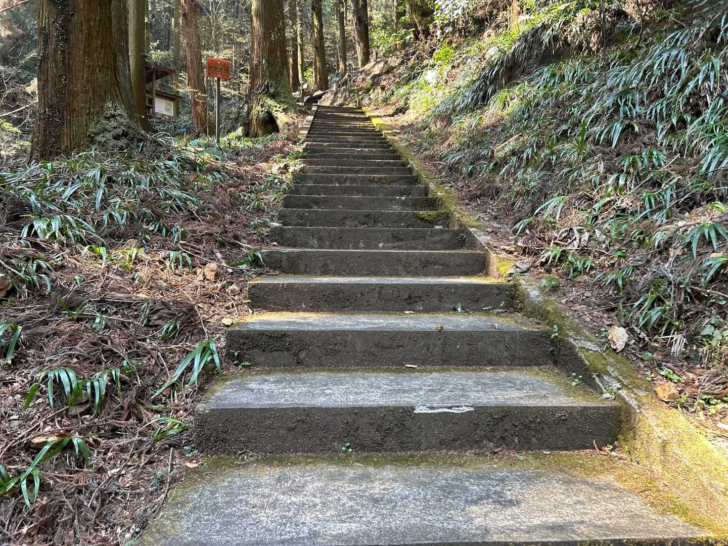 行道山 往復コースの写真