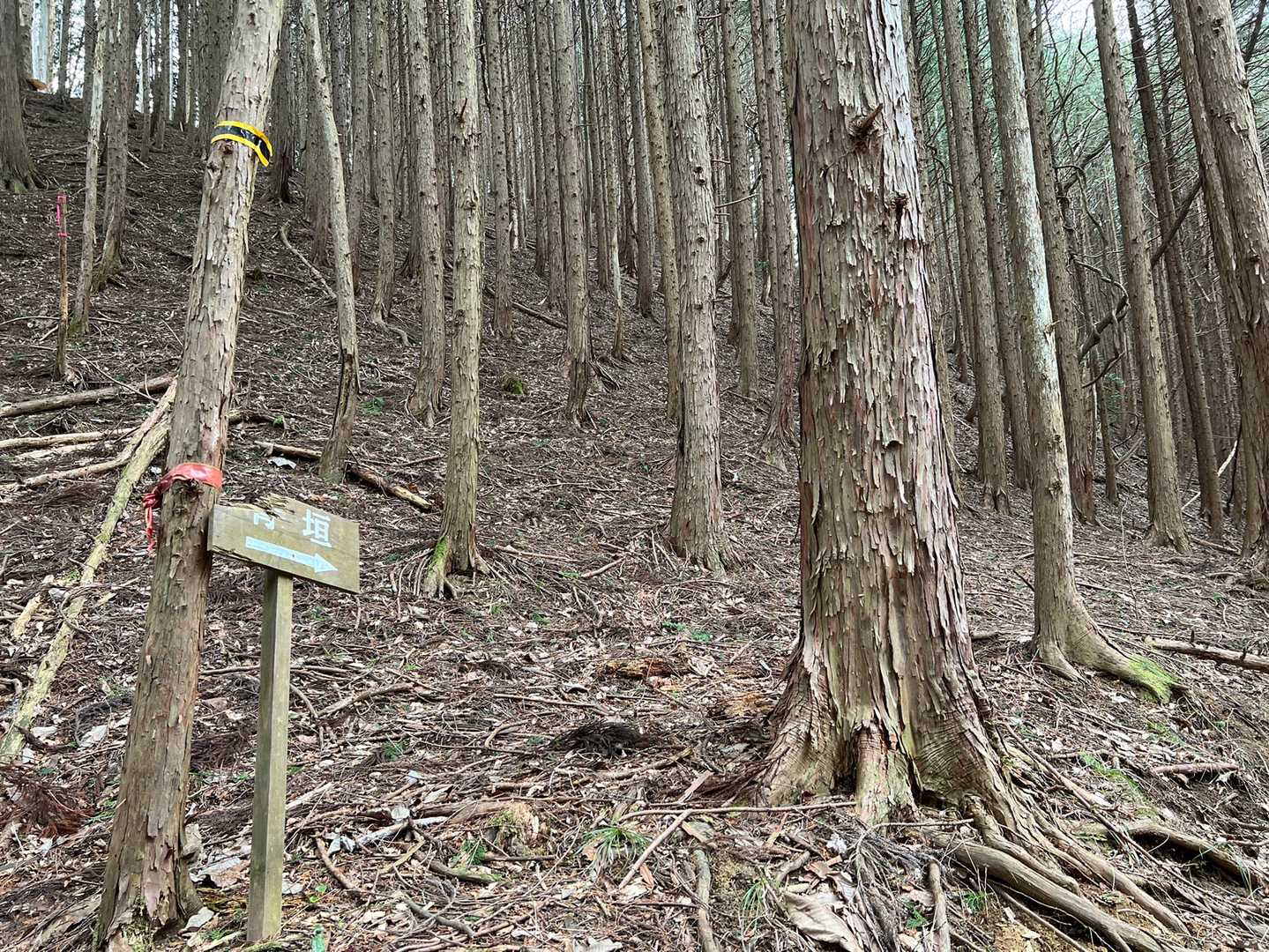 やっと梨木峠😮‍💨