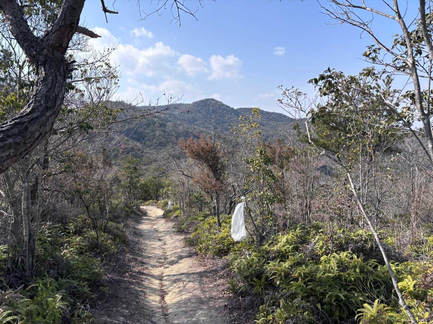 龍王山西大平山