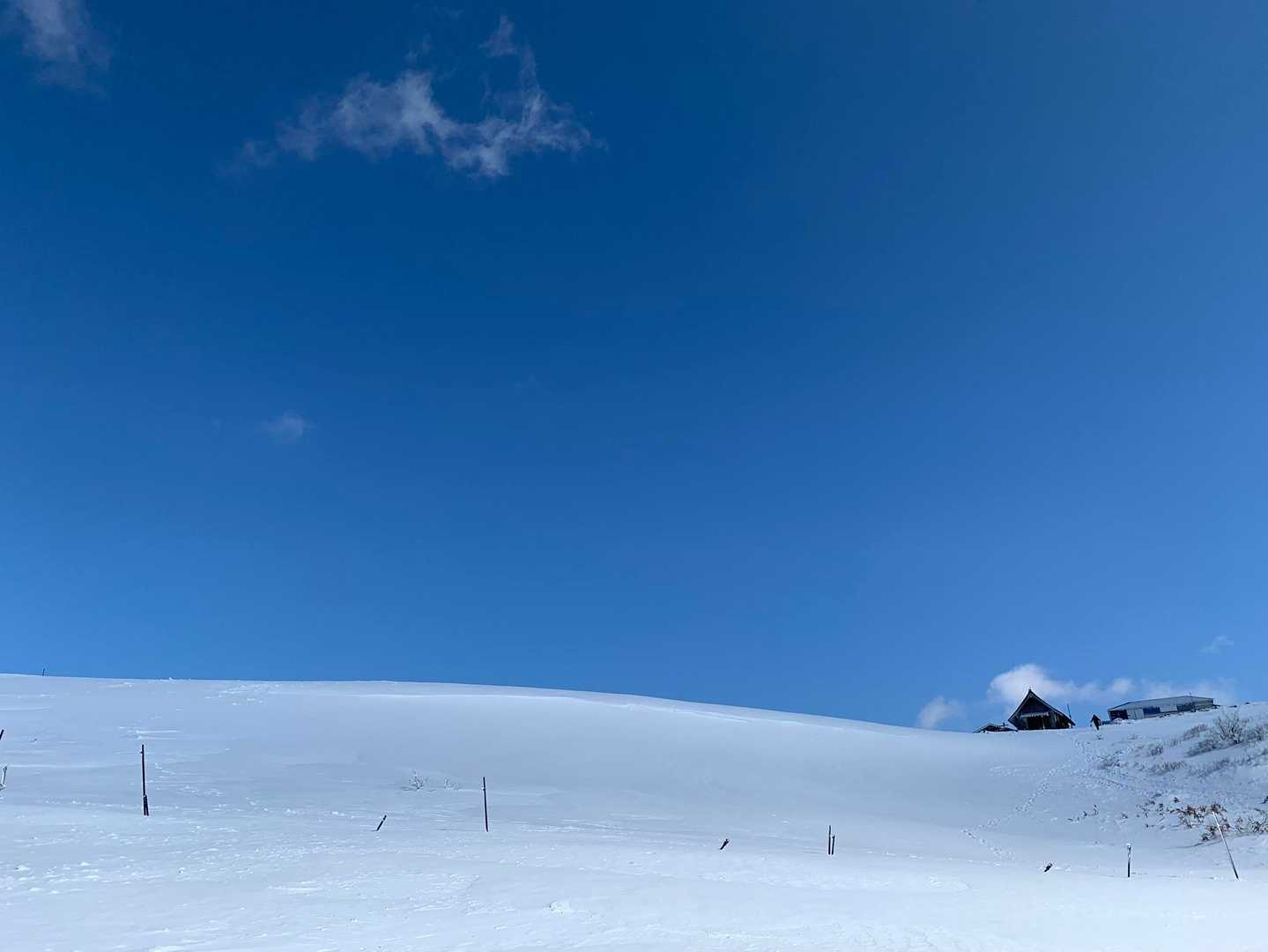 伊吹山 正面登山道（上野口コース）の写真