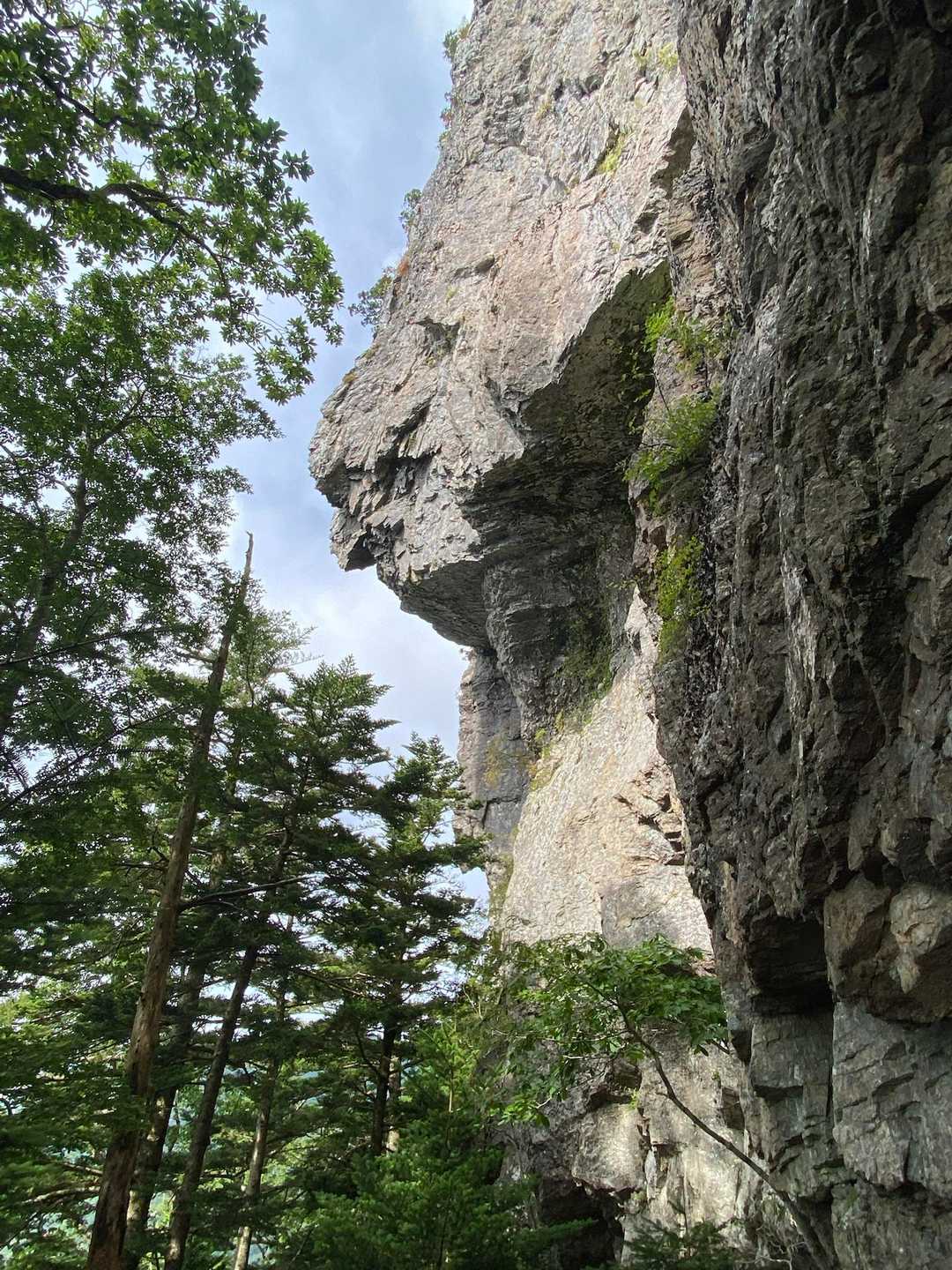 鷲