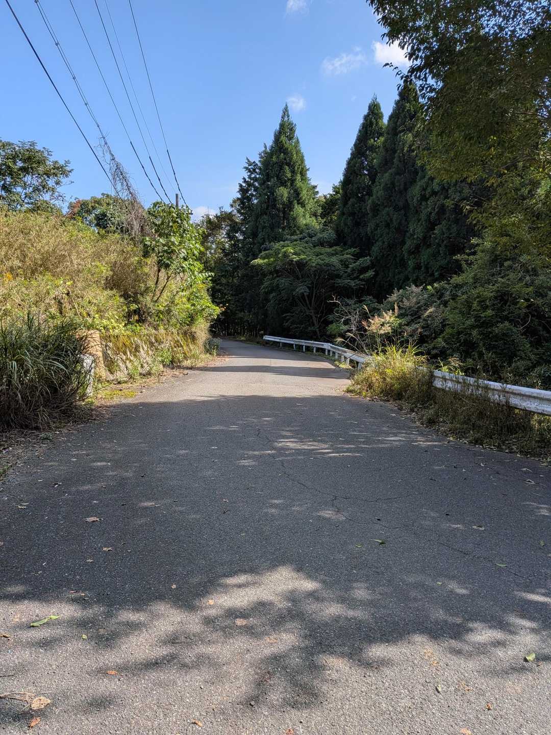 駐車場まではロード歩き🚶‍♀️
道端の不法投棄がひどかった⤵️