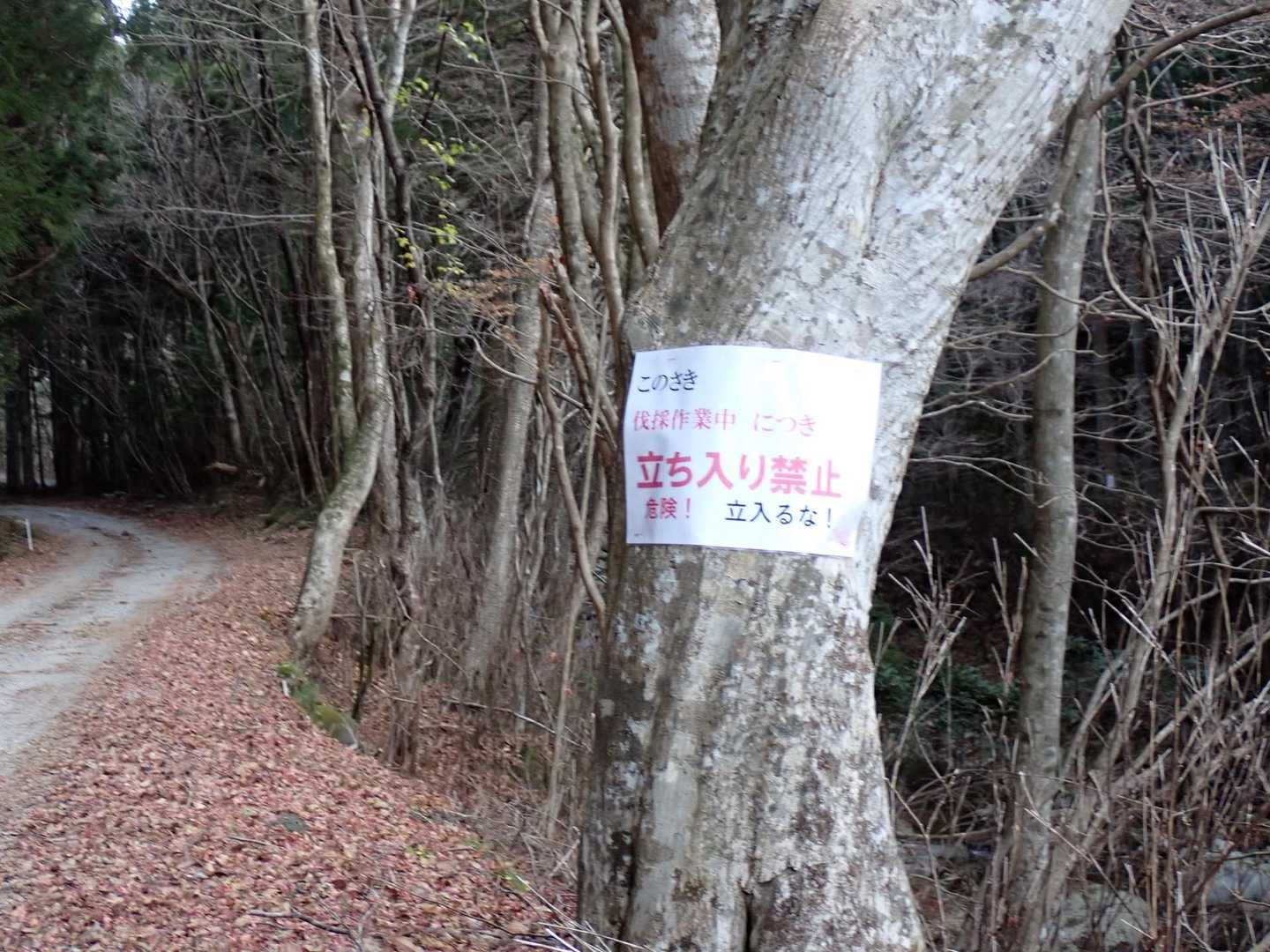 今日は休工中でした