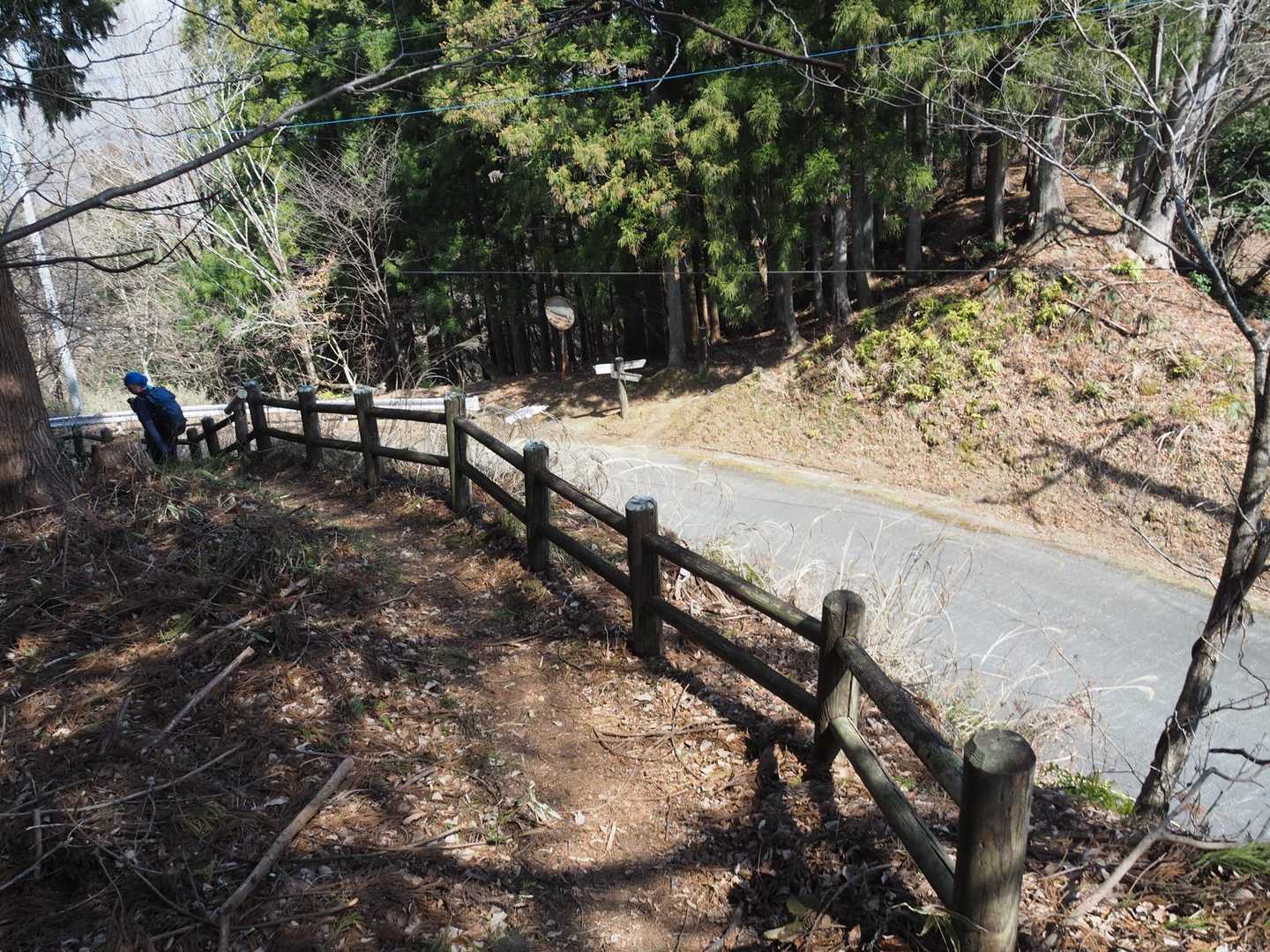 福寿草園へ続く林道と交差