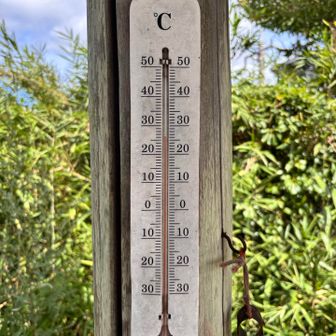 26℃
それでも下界よりは涼しいかな？