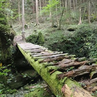 この橋はガイドワイヤーも持って渡りました。