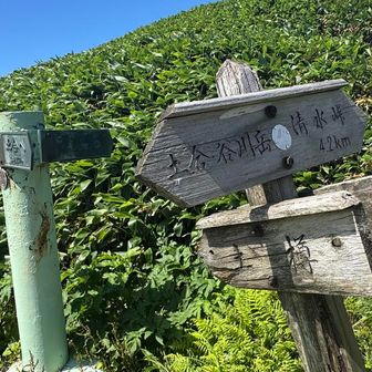 さて、清水峠に向かいます。