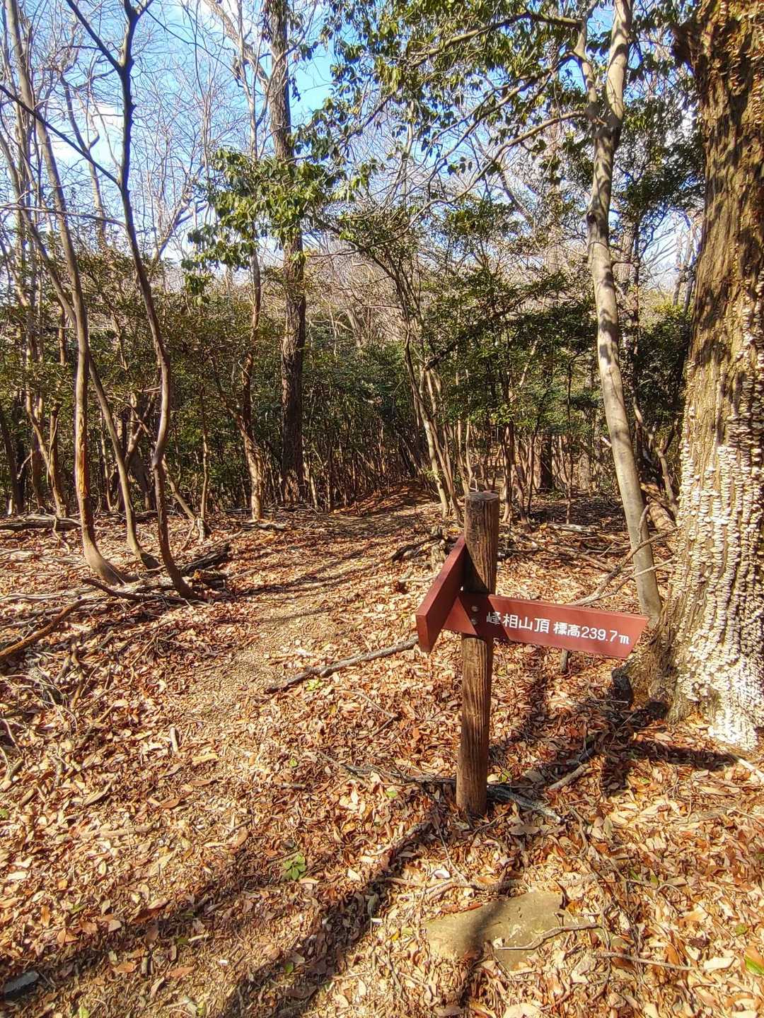 トラロープの分岐まで戻ります
問題なく来れて良かったです