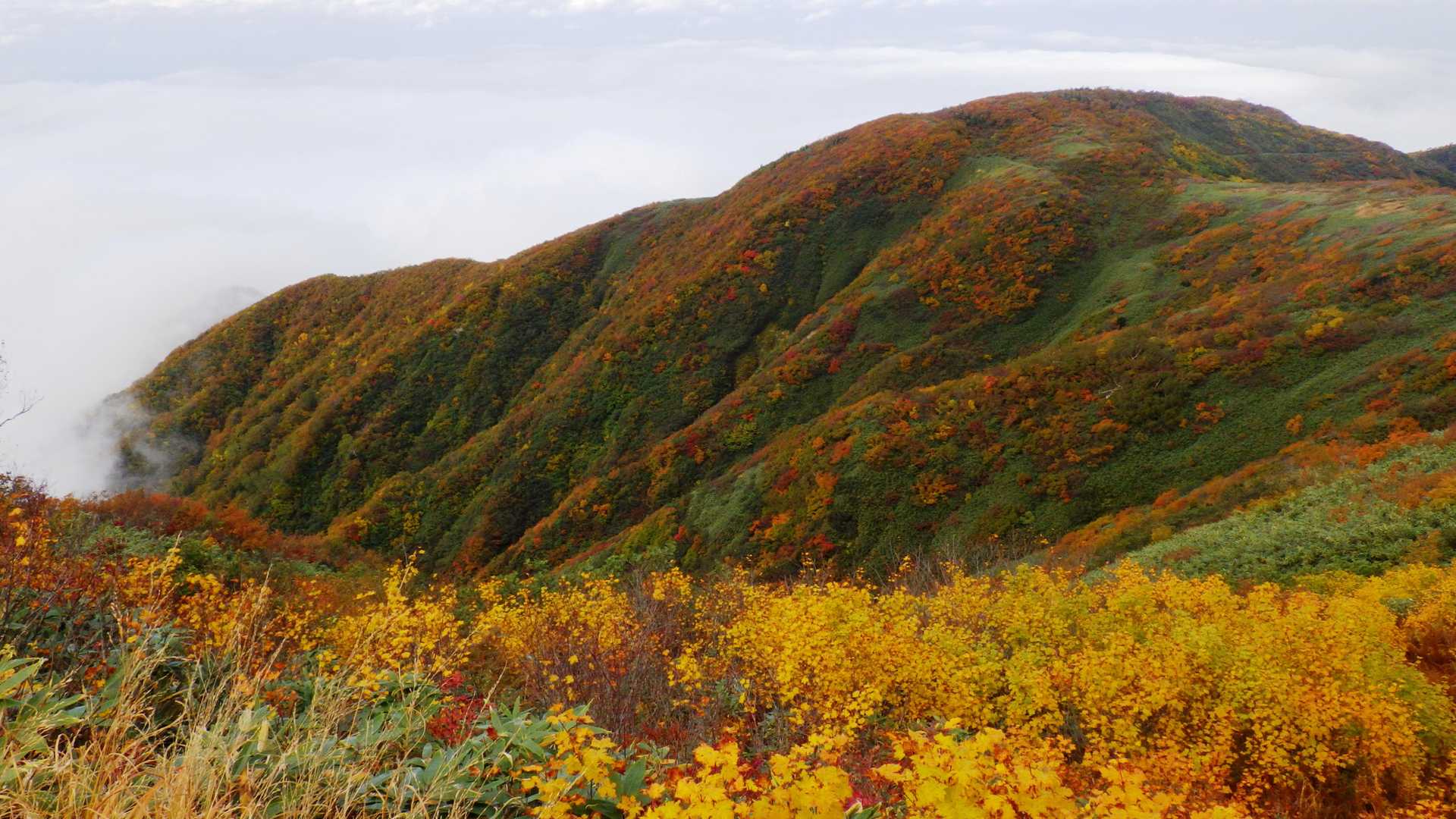 伊折山-成谷山 -僧ヶ岳-北駒ヶ岳-駒ヶ岳 往復コースの写真
