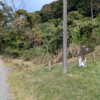 登山口までしぱらく車道歩きをしてここから山道